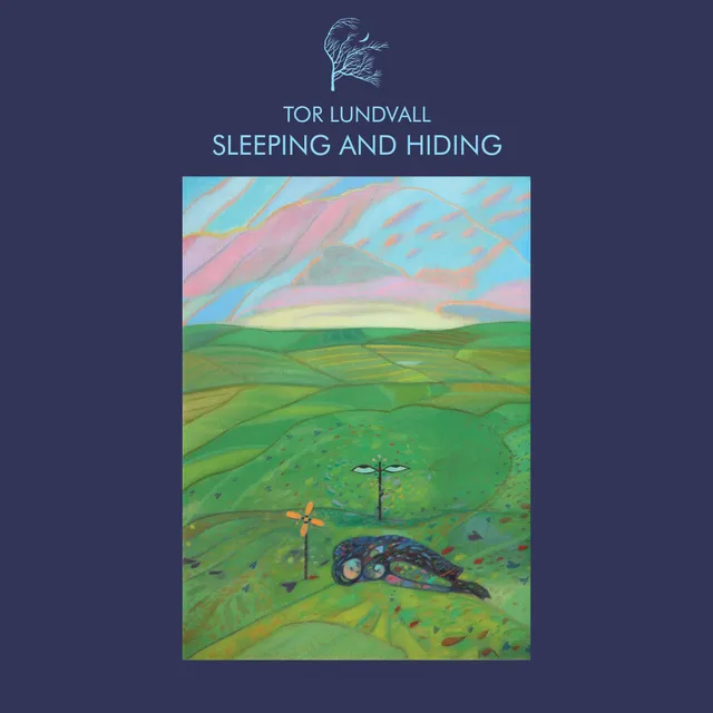 dais-records-sleeping-and-hiding-vinyle-lp-noir-ambient image 1