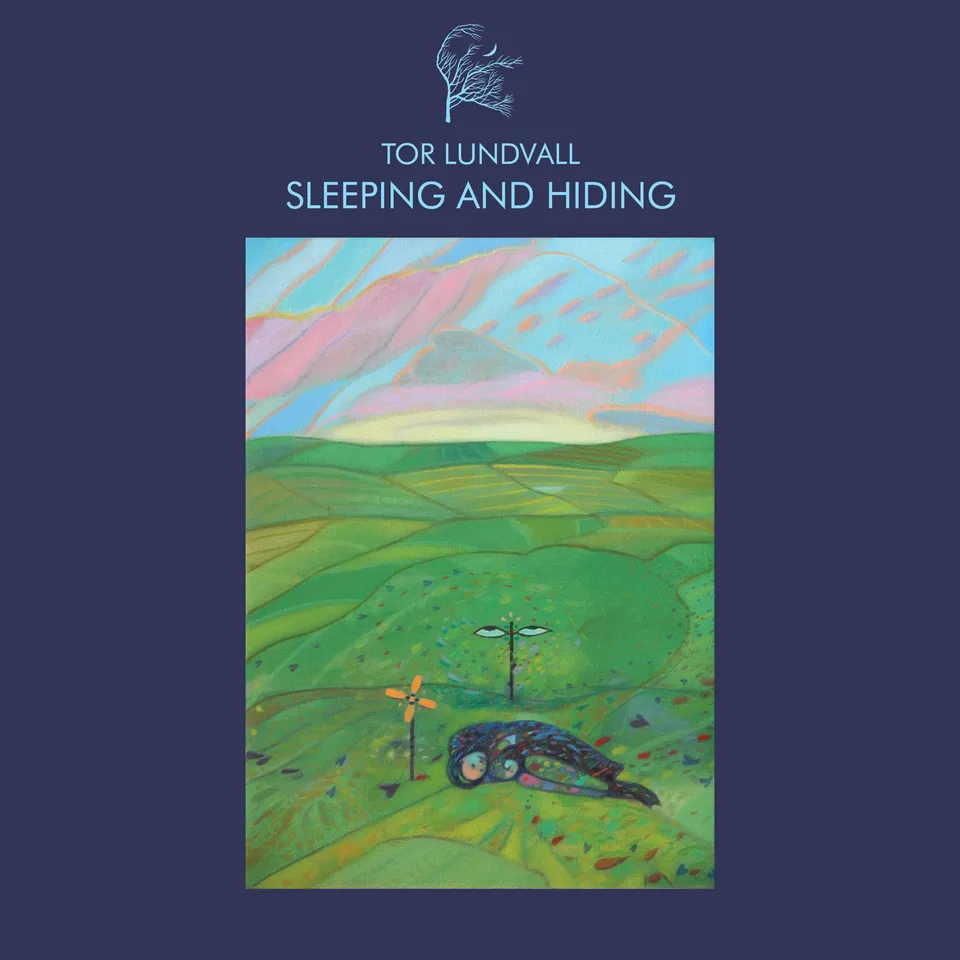 dais-records-sleeping-and-hiding-vinyle-lp-noir-ambient image 1