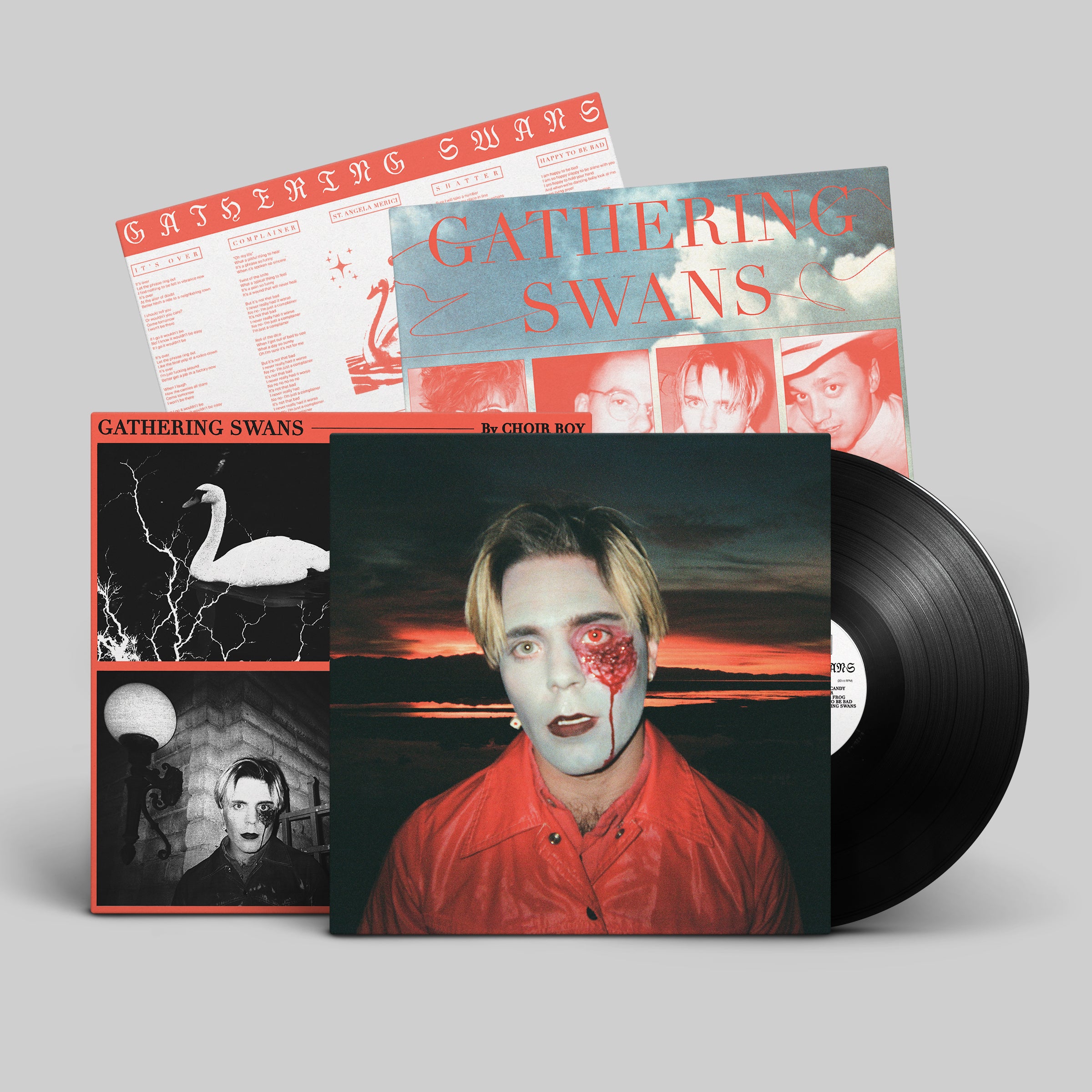 dais-vinyl-gathering-swans-lp-vinyle-bleu-clair-ltd-200 image 6